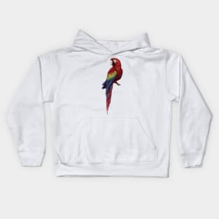 Scarlet Macaw Digital Painting Kids Hoodie